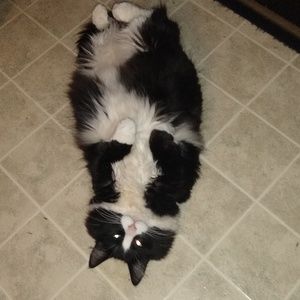 Meet your Posher, Mari